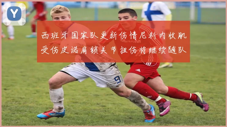 西班牙国家队更新伤情尼科内收肌受伤皮诺肩锁关节扭伤将继续随队训练