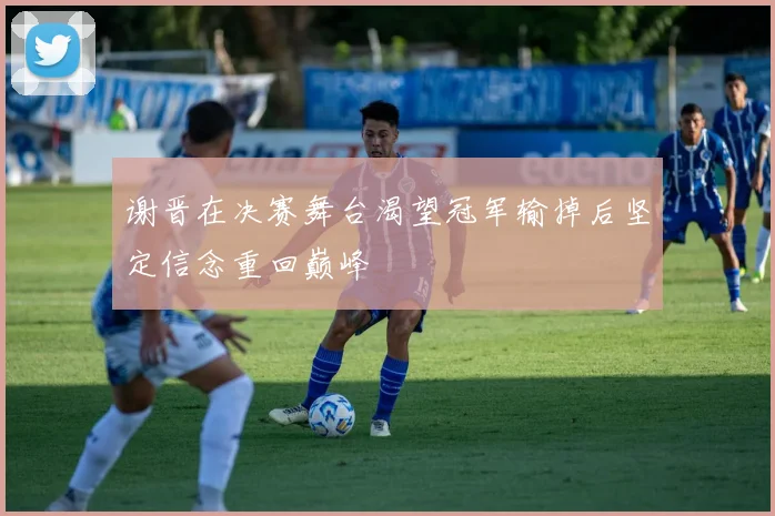 谢晋在决赛舞台渴望冠军输掉后坚定信念重回巅峰